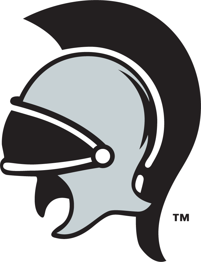 Troy Trojans 1999-2004 Secondary Logo DIY iron on transfer (heat transfer)
